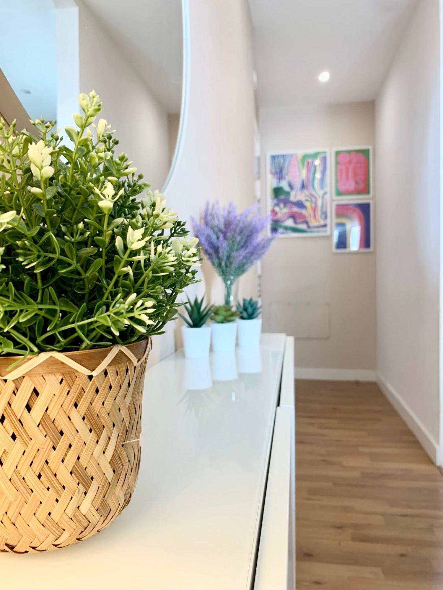 Apartamento Veleta 托雷莫利诺斯 外观 照片